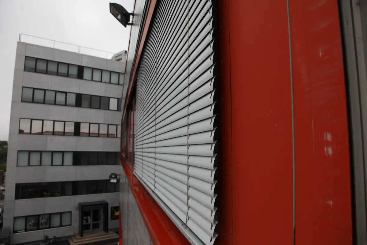 fenster 10